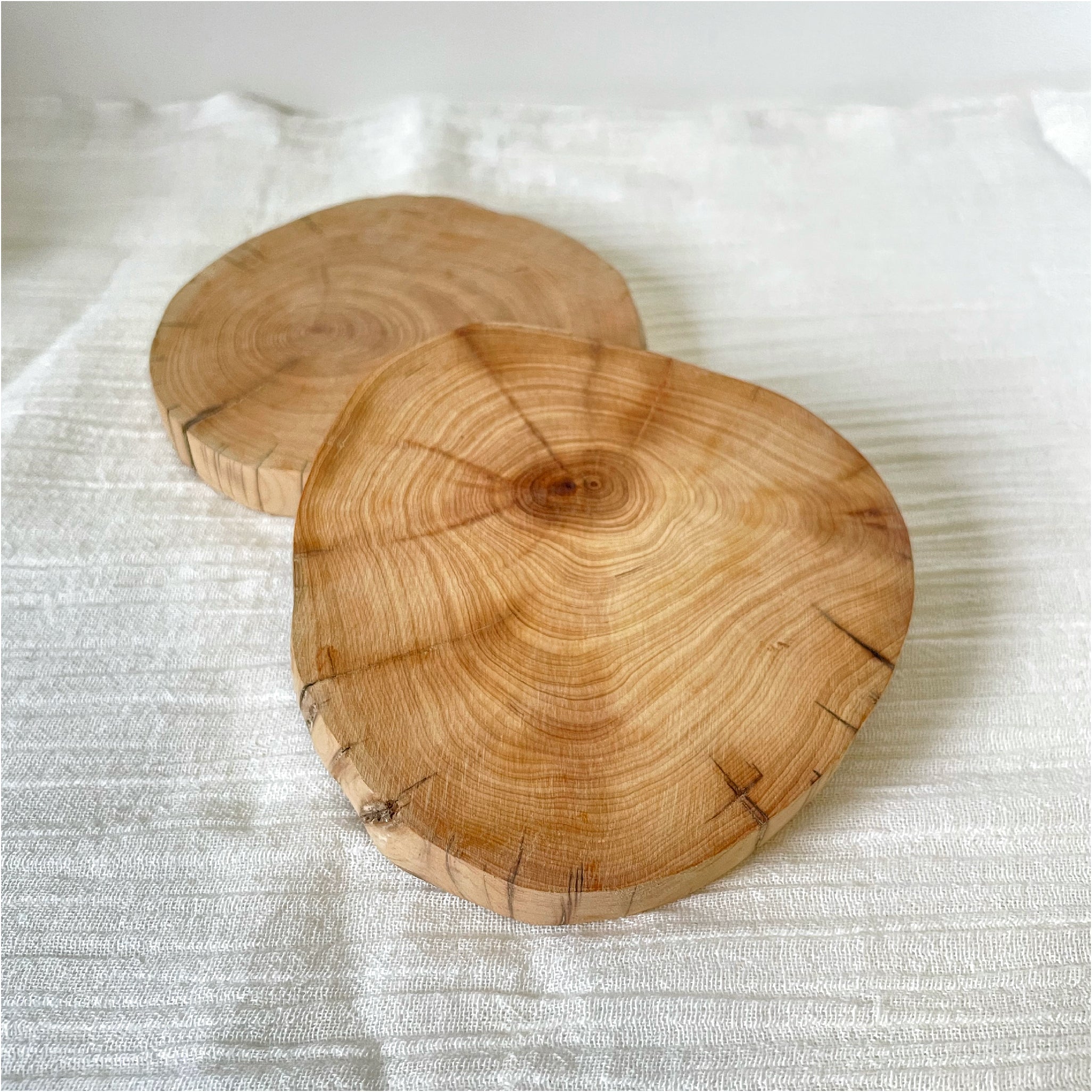 Natural Thuja Wood Slab Coasters