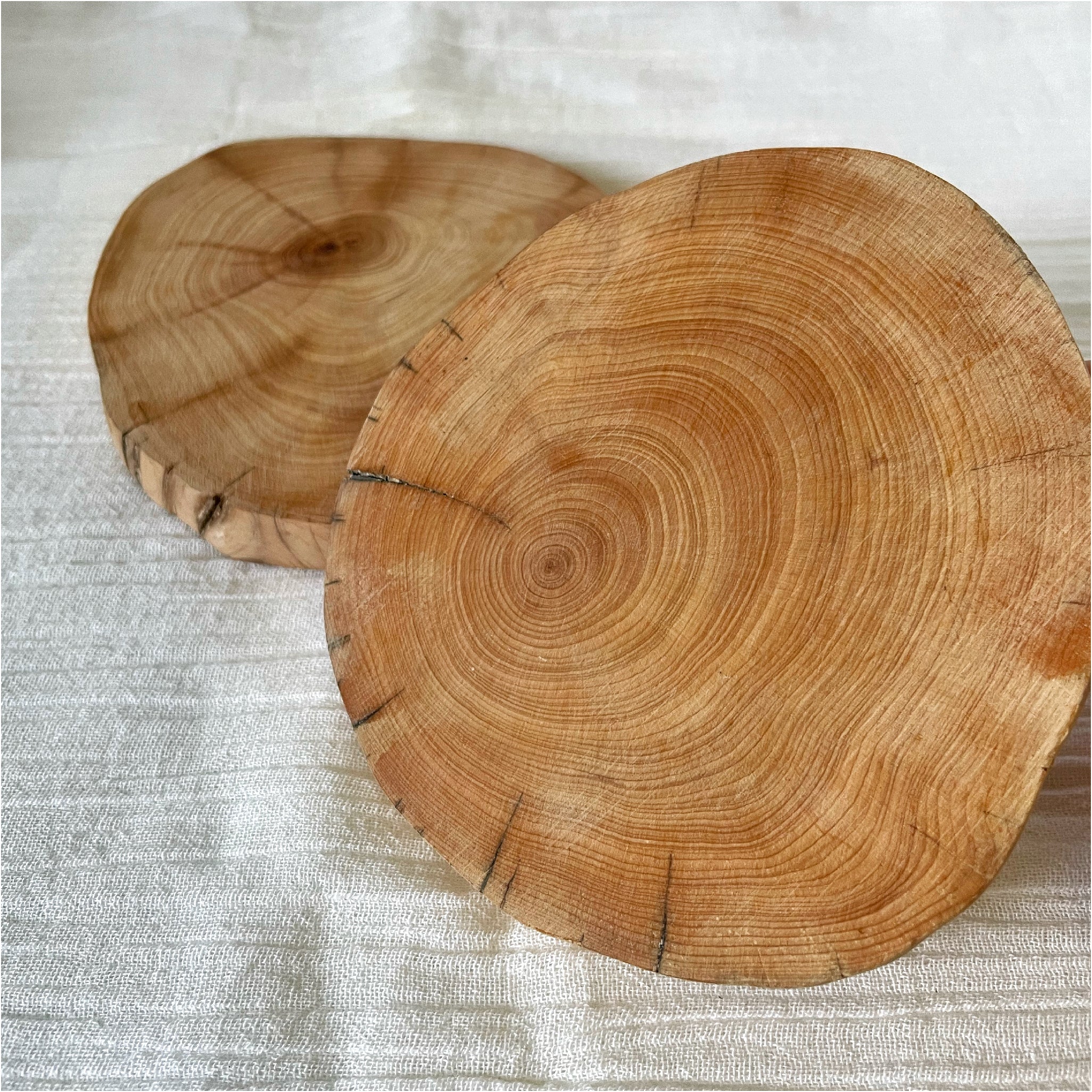Natural Thuja Wood Slab Coasters